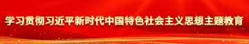 美女被C网站学习贯彻习近平新时代中国特色社会主义思想主题教育